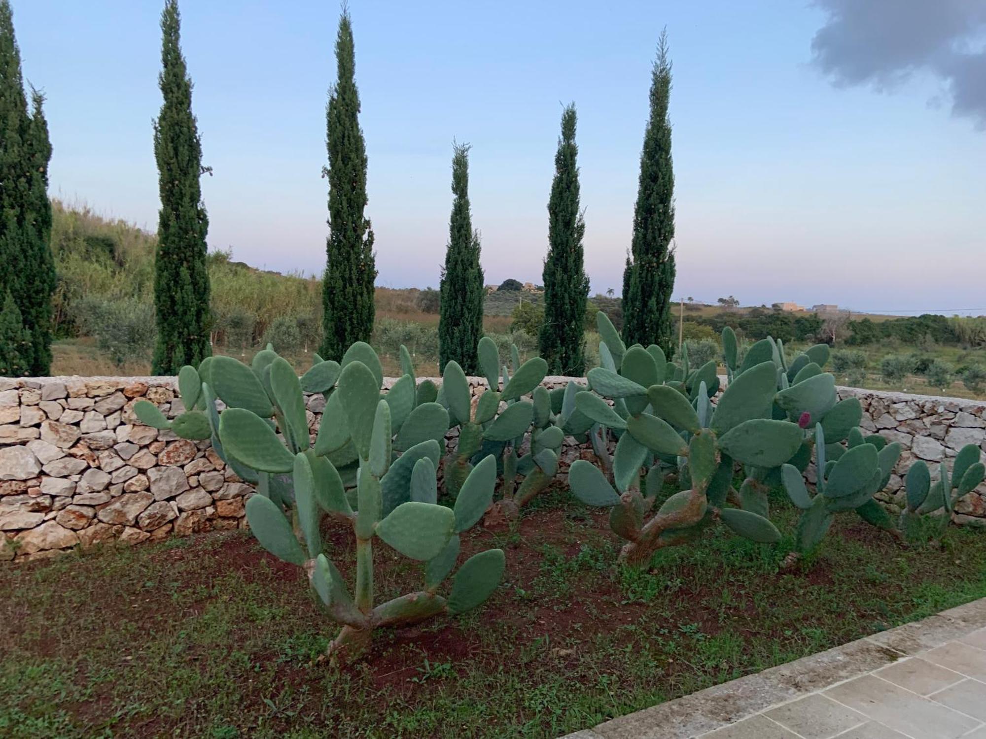 Relais Masseria Sant'Antonio Marina Di Pescoluse Esterno foto